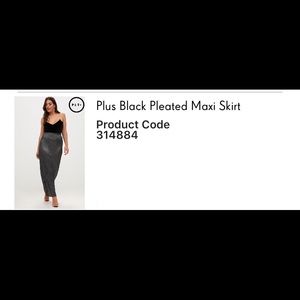 Black Pleated Maxi Skirt